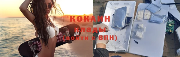 индика Нея