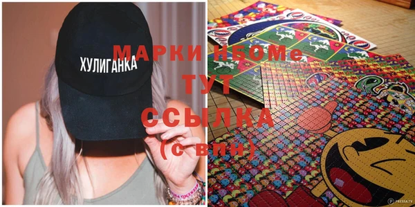 индика Нея