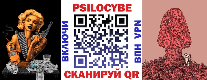где купить   Поворино  Псилоцибиновые грибы Psilocybine cubensis 